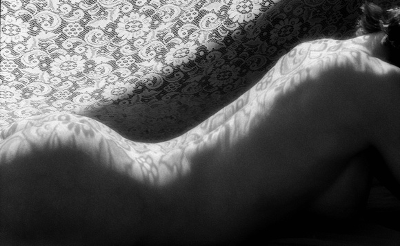Lace and Shadows